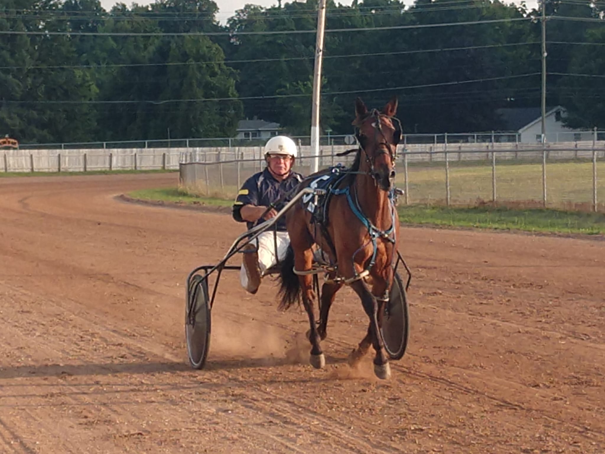 horseracing Oceana County Fair